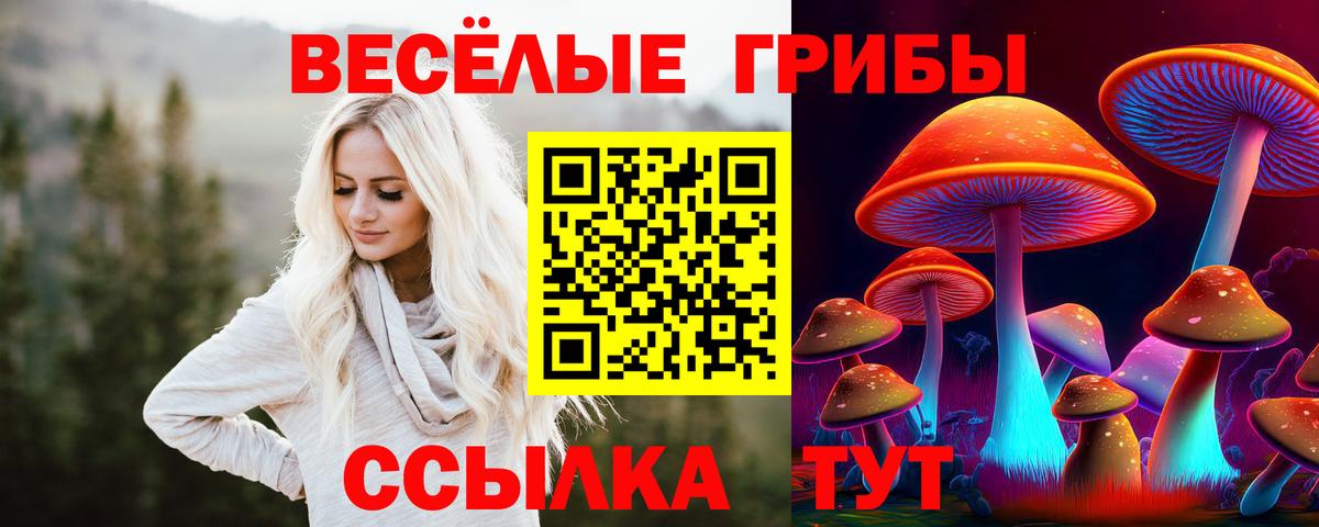 Малгобек  Галлюциногенные грибы мицелий  Вход с VPN 