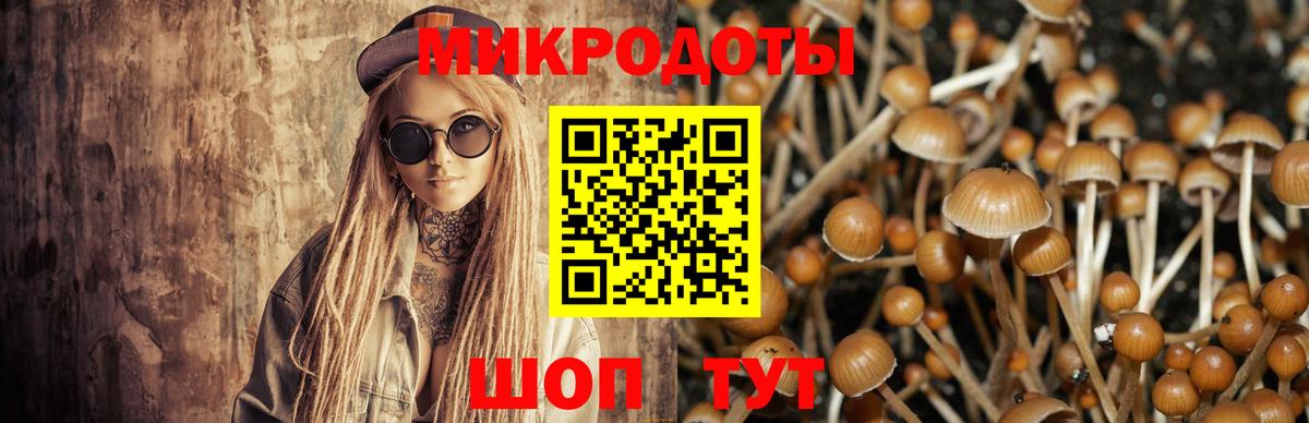 Галлюциногенные грибы мухоморы Малгобек